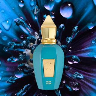 Niche Perfume